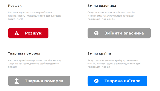29032766.png