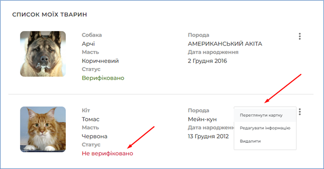 29032769.png