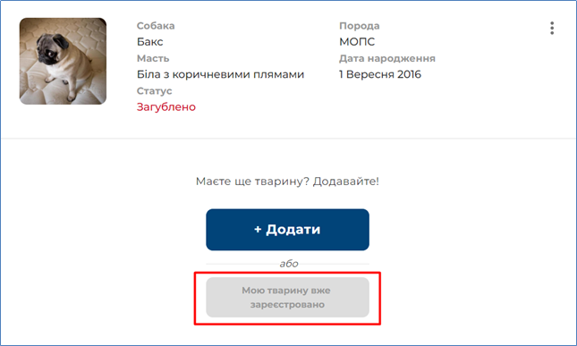 29032770.png