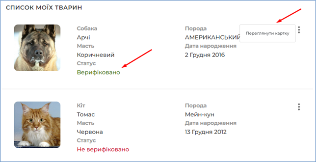 29032772.png