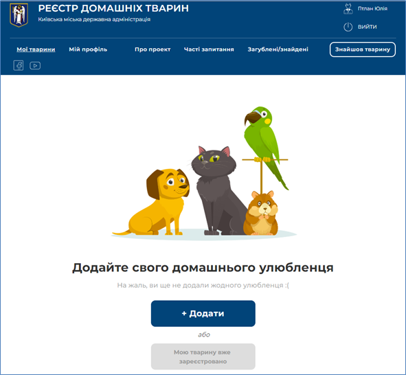 29032775.png