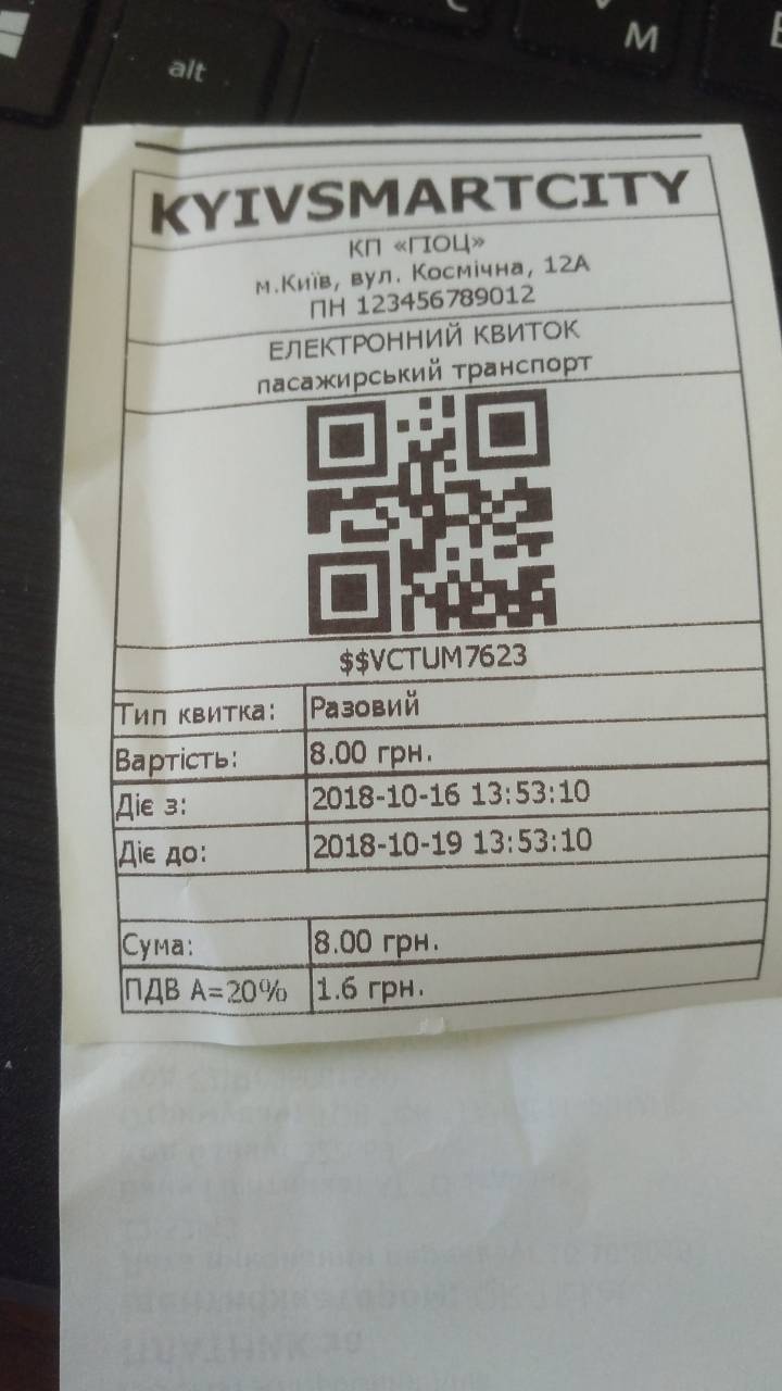 29036964.jpg